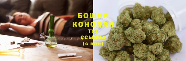 бошки Заводоуковск