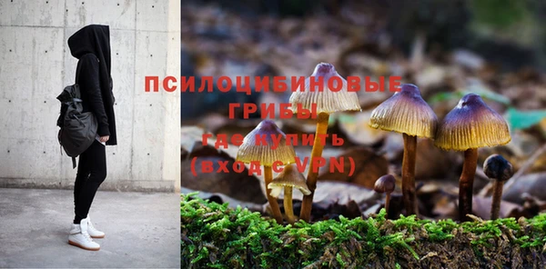 соль курить ск Заволжье