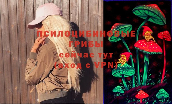 соль курить ск Заволжье